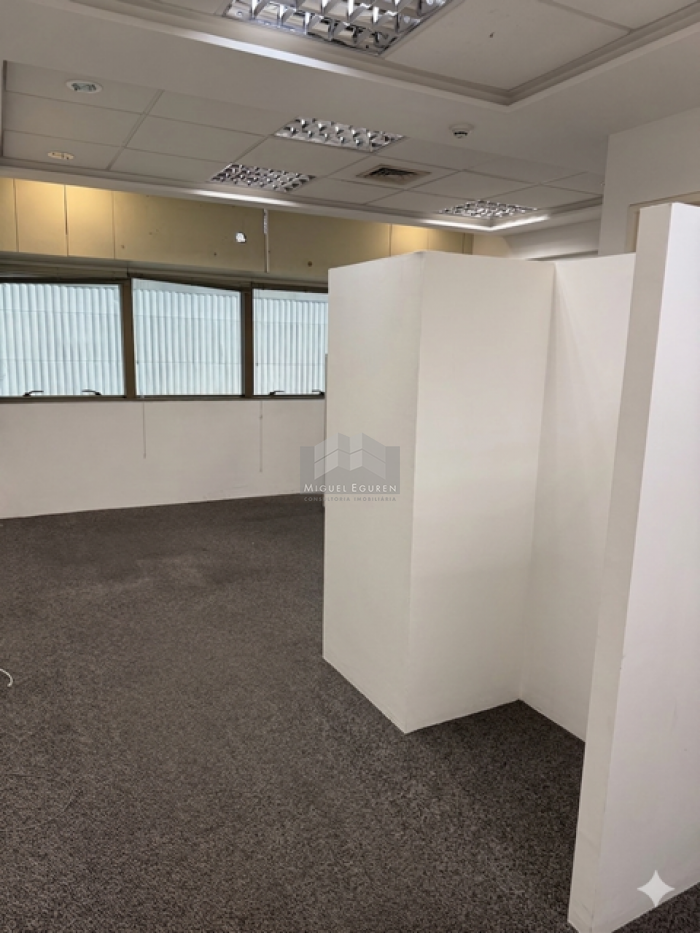 SALA COMERCIAL  EMPRESARIAL THOMAS EDISON NA ILHA DO LEITE COM 30m²-