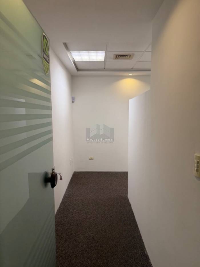 SALA COMERCIAL  EMPRESARIAL THOMAS EDISON NA ILHA DO LEITE COM 30m²-